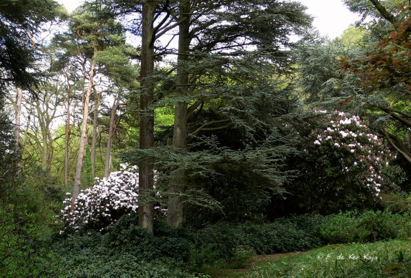 Bois des Moutiers (148) Mai 2012